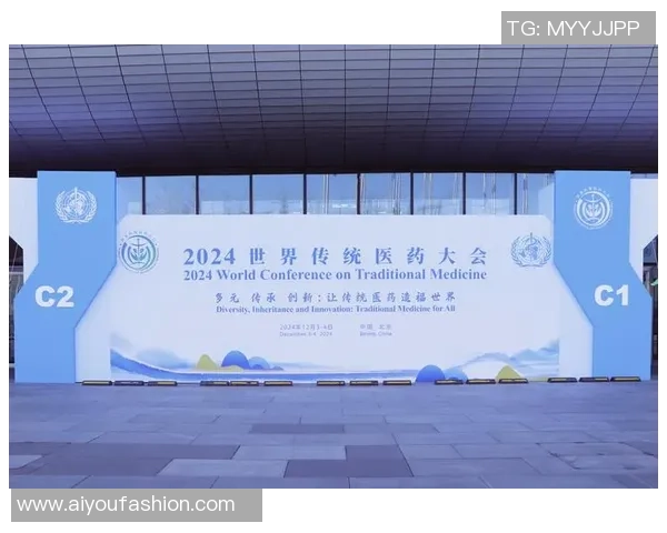 南京排球队的转换体系与战术创新探索之路