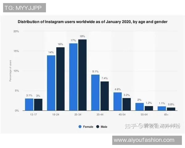 深入探讨Instagram平台的技术表现与数据分析方法的综合研究